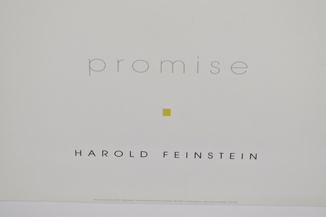 Poster Print of "Promise" Photograph by Harold Feinstein