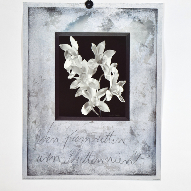 Offset Lithograph of Photograph "Orchid De Fer II" by Lydia Cutter