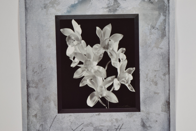 Offset Lithograph of Photograph "Orchid De Fer II" by Lydia Cutter