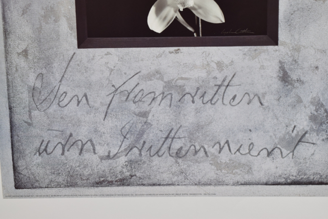 Offset Lithograph of Photograph "Orchid De Fer II" by Lydia Cutter