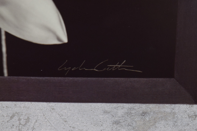 Offset Lithograph of Photograph "Orchid De Fer II" by Lydia Cutter