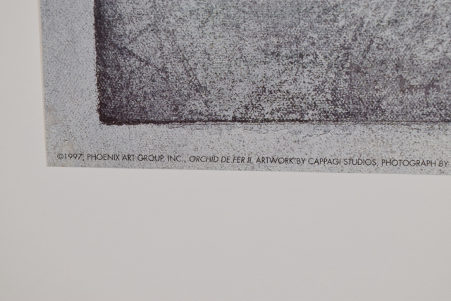 Offset Lithograph of Photograph "Orchid De Fer II" by Lydia Cutter