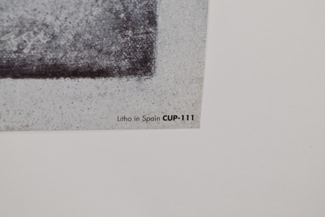 Offset Lithograph of Photograph "Orchid De Fer II" by Lydia Cutter