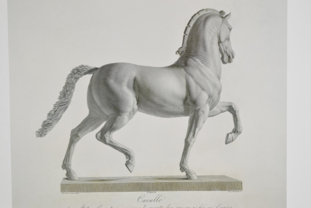 Offset Lithograph of the Etching by Domenico Marchetti of "Cavallo" by Antonio Canova