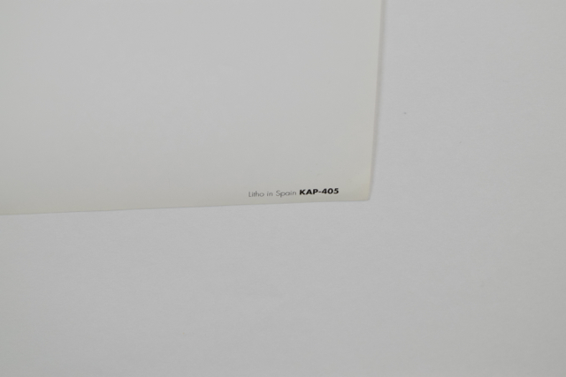 Offset Lithograph of "Sacre Coeur, Paris" after Andras Kaldor