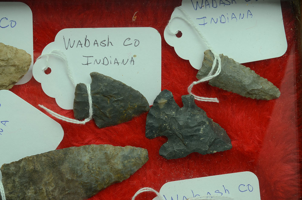 Collection of Arrowheads in Display Case