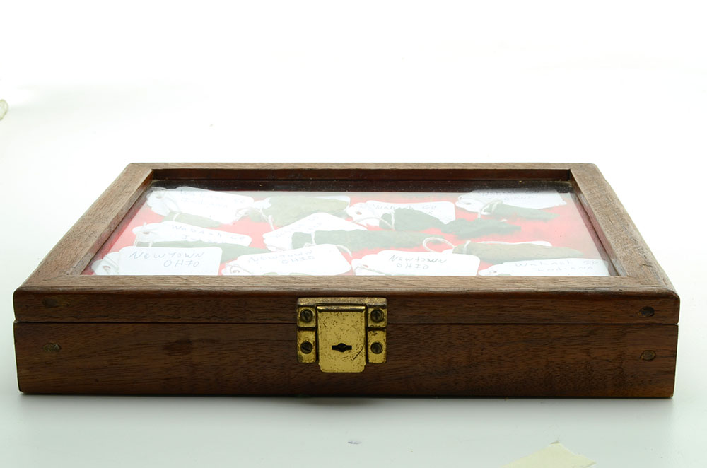 Collection of Arrowheads in Display Case
