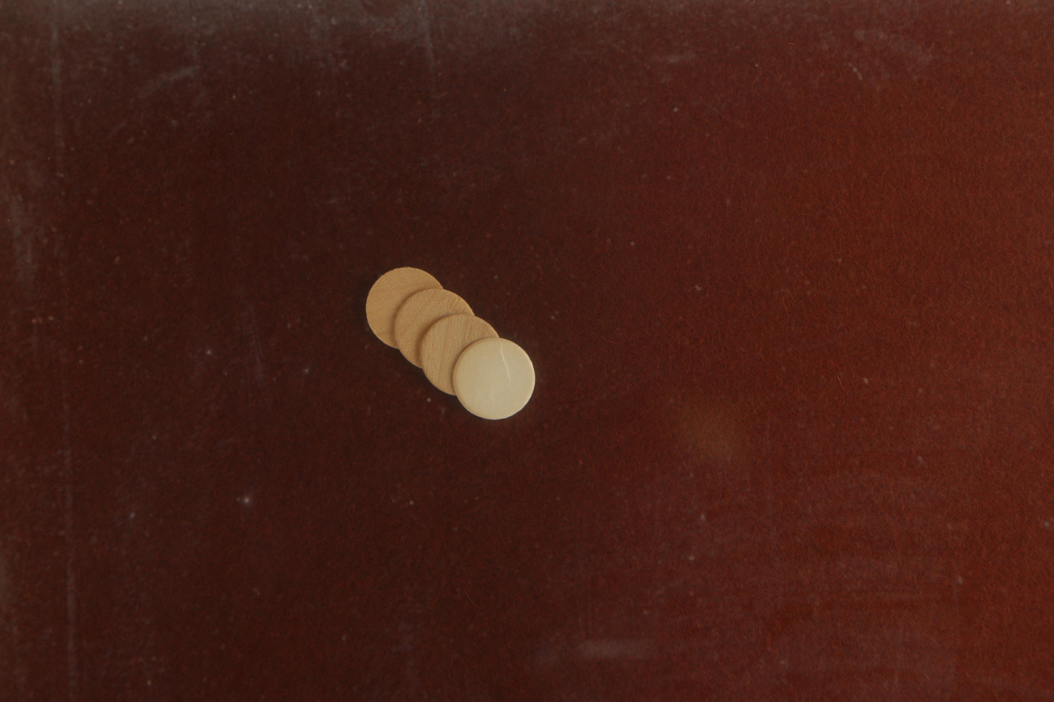 Greg Copeland Wood Cutout in Shadowbox