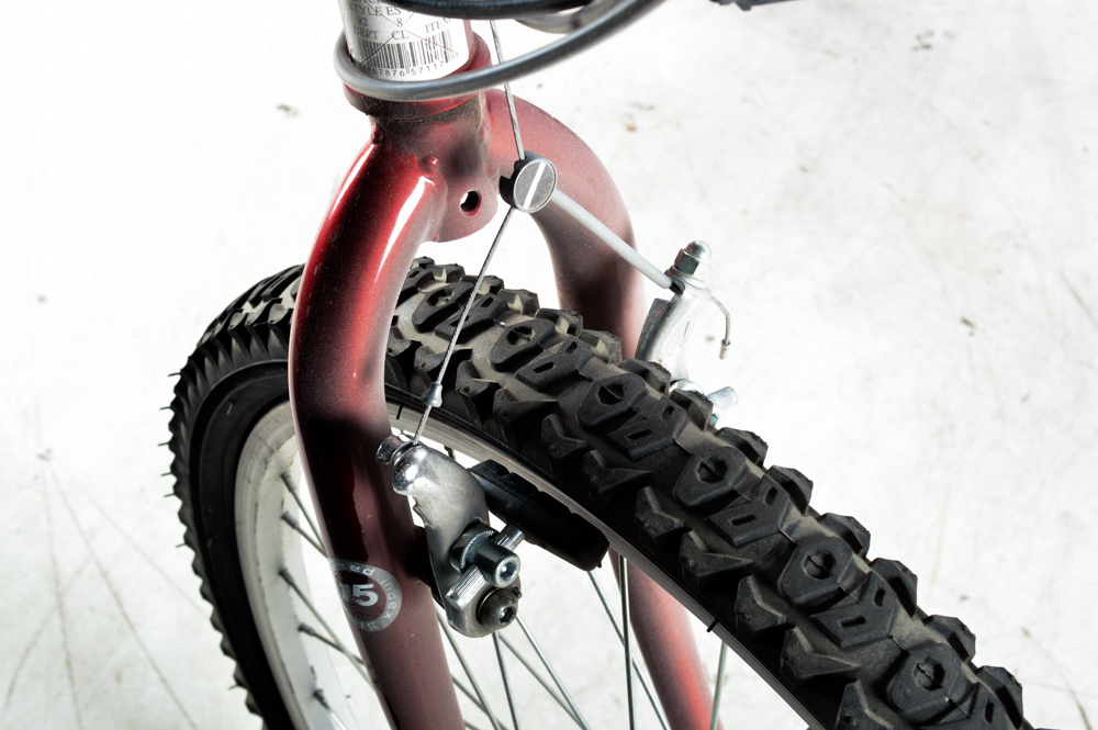 Magna Glacier Point 15 Speed Men's Mountain Bike