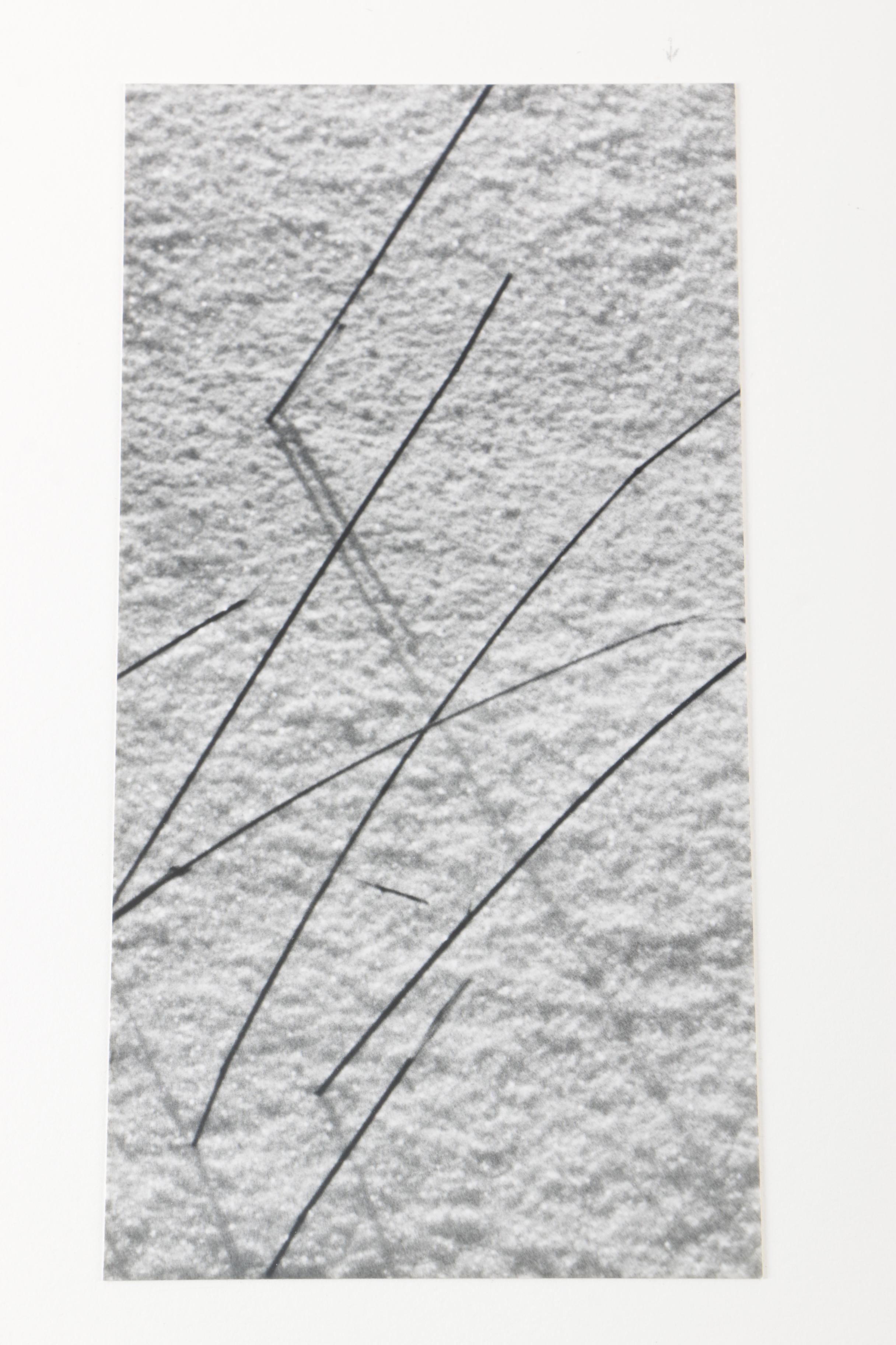 Collection of Seventeen Black and White Photographs by Jim Wenzel