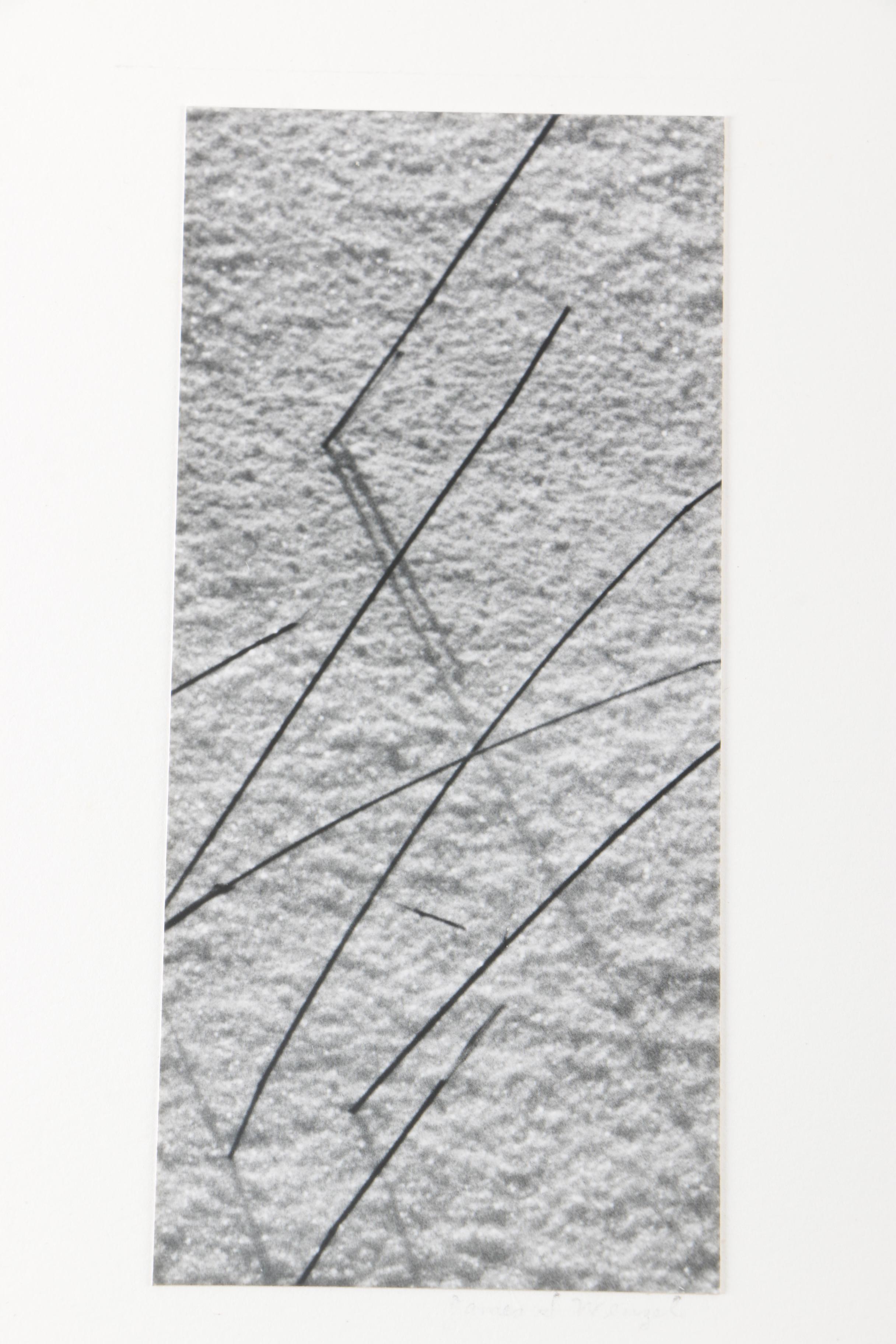 Collection of Seventeen Black and White Photographs by Jim Wenzel