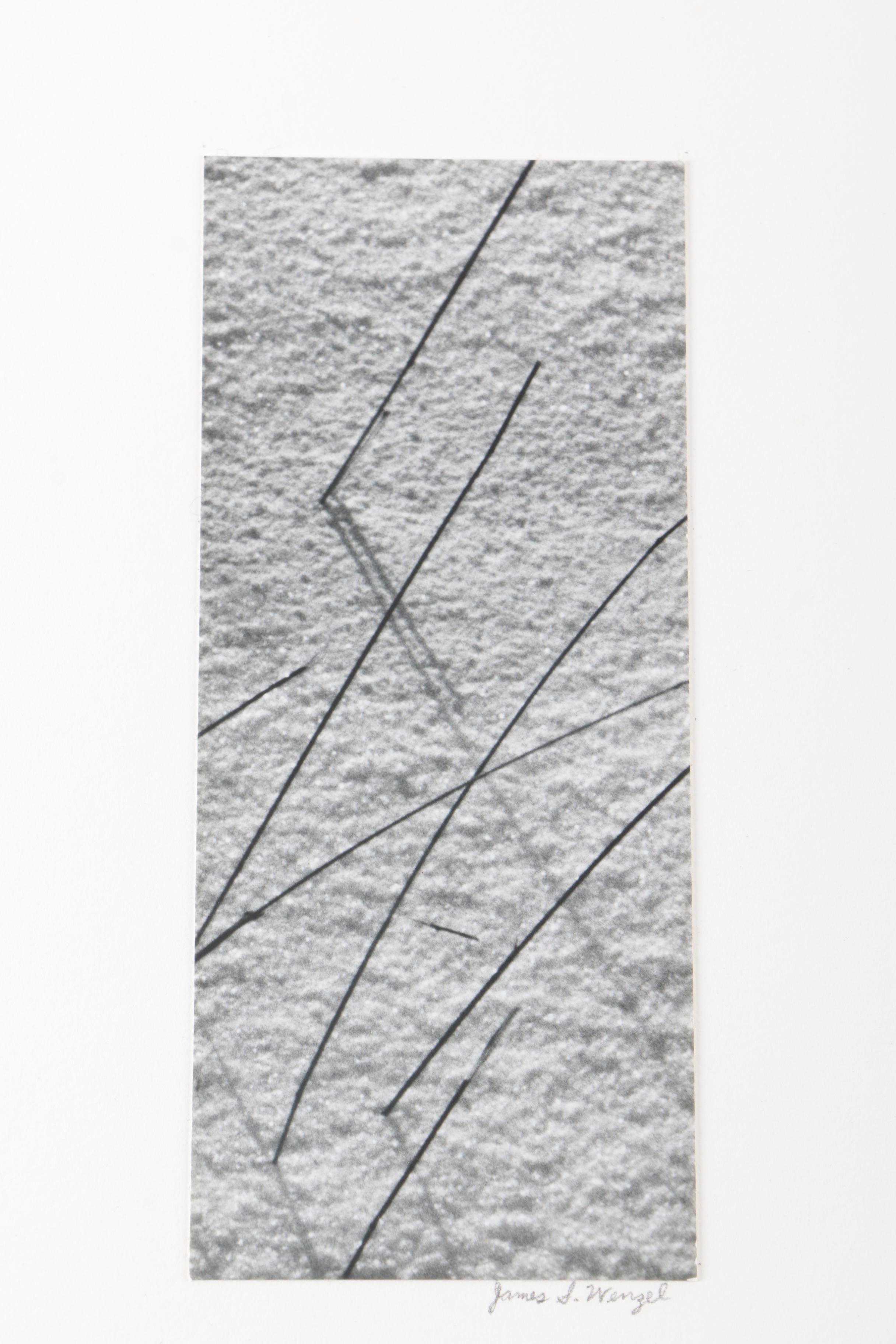 Collection of Seventeen Black and White Photographs by Jim Wenzel