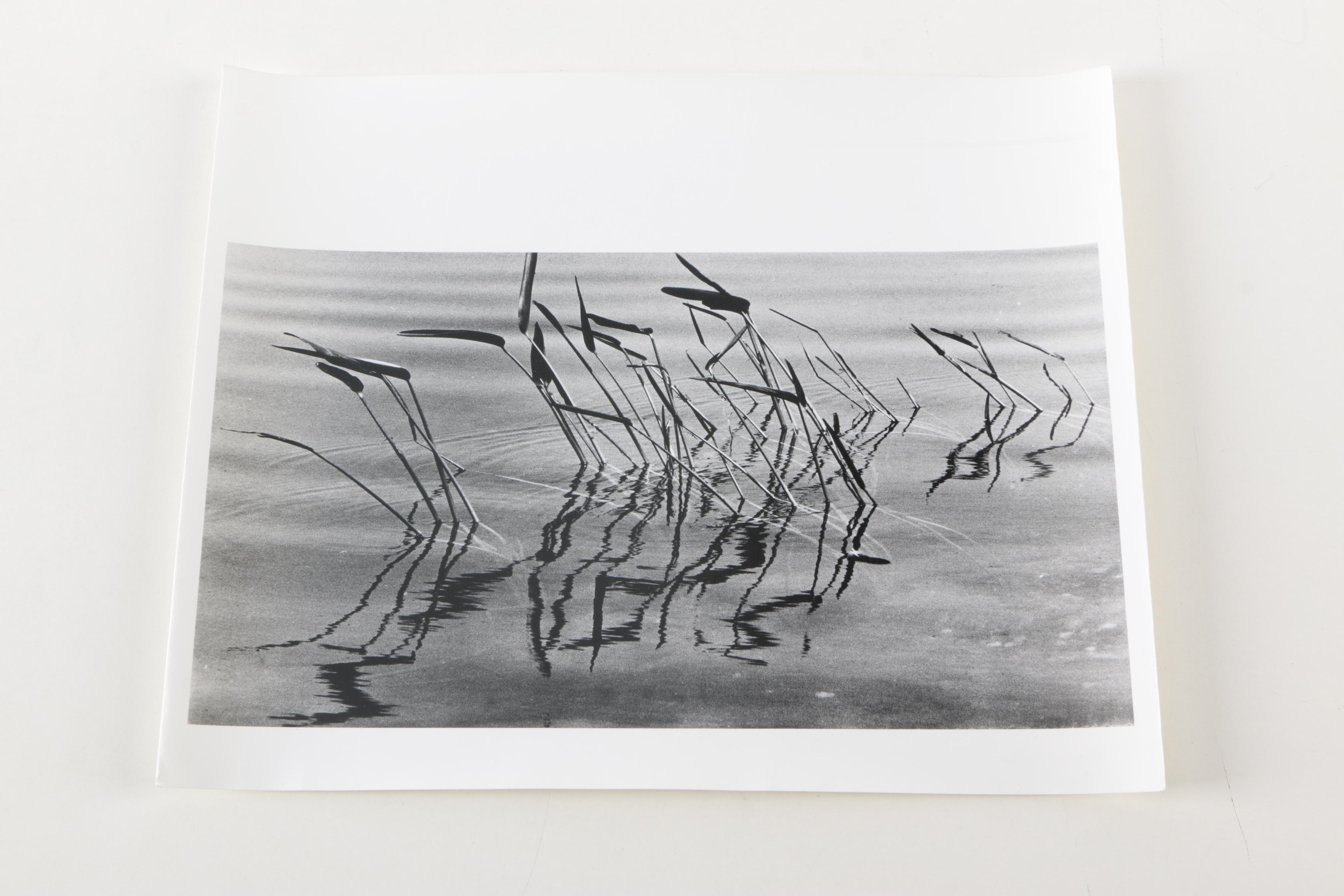 Collection of Seventeen Black and White Photographs by Jim Wenzel