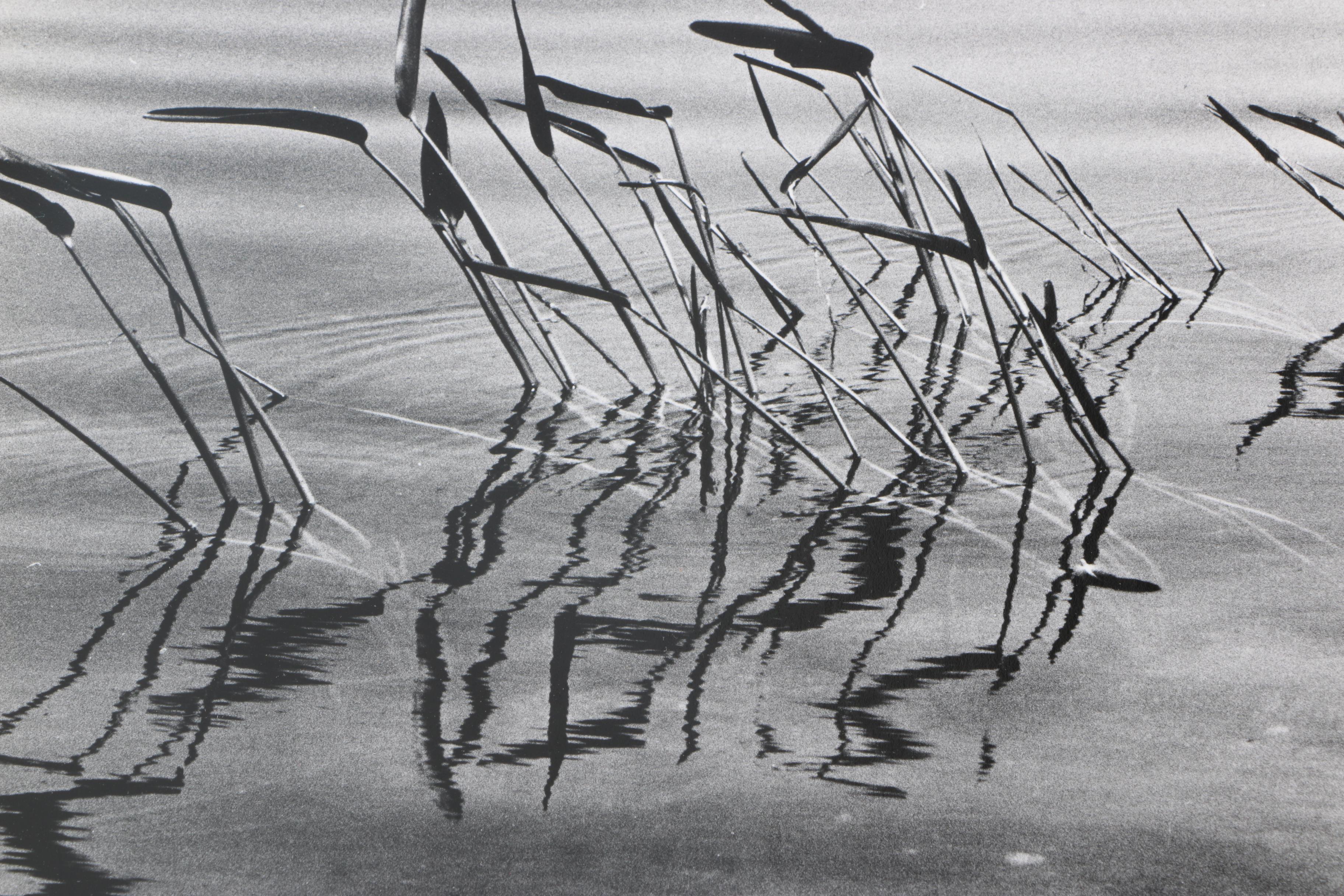 Collection of Seventeen Black and White Photographs by Jim Wenzel