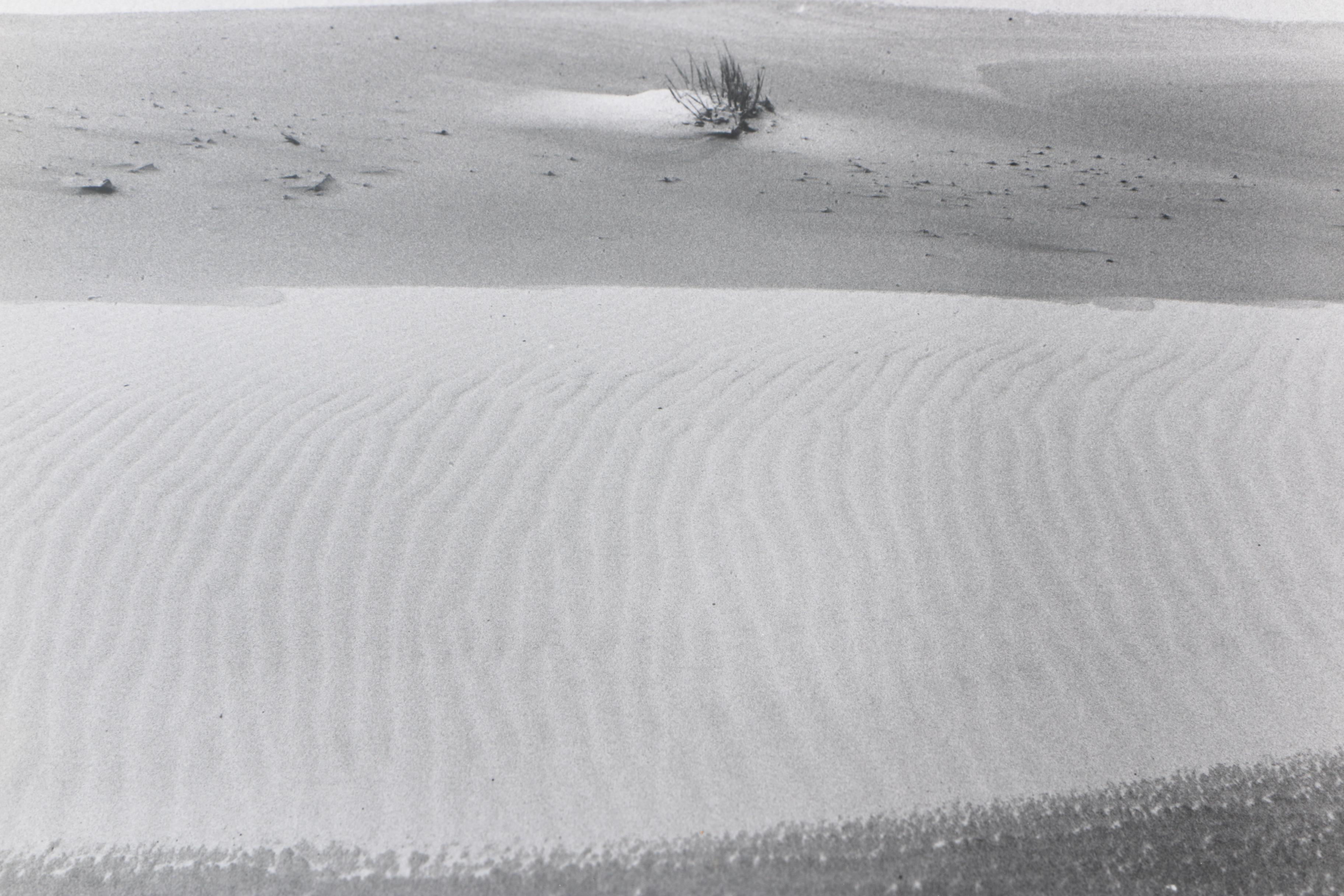 Collection of Seventeen Black and White Photographs by Jim Wenzel