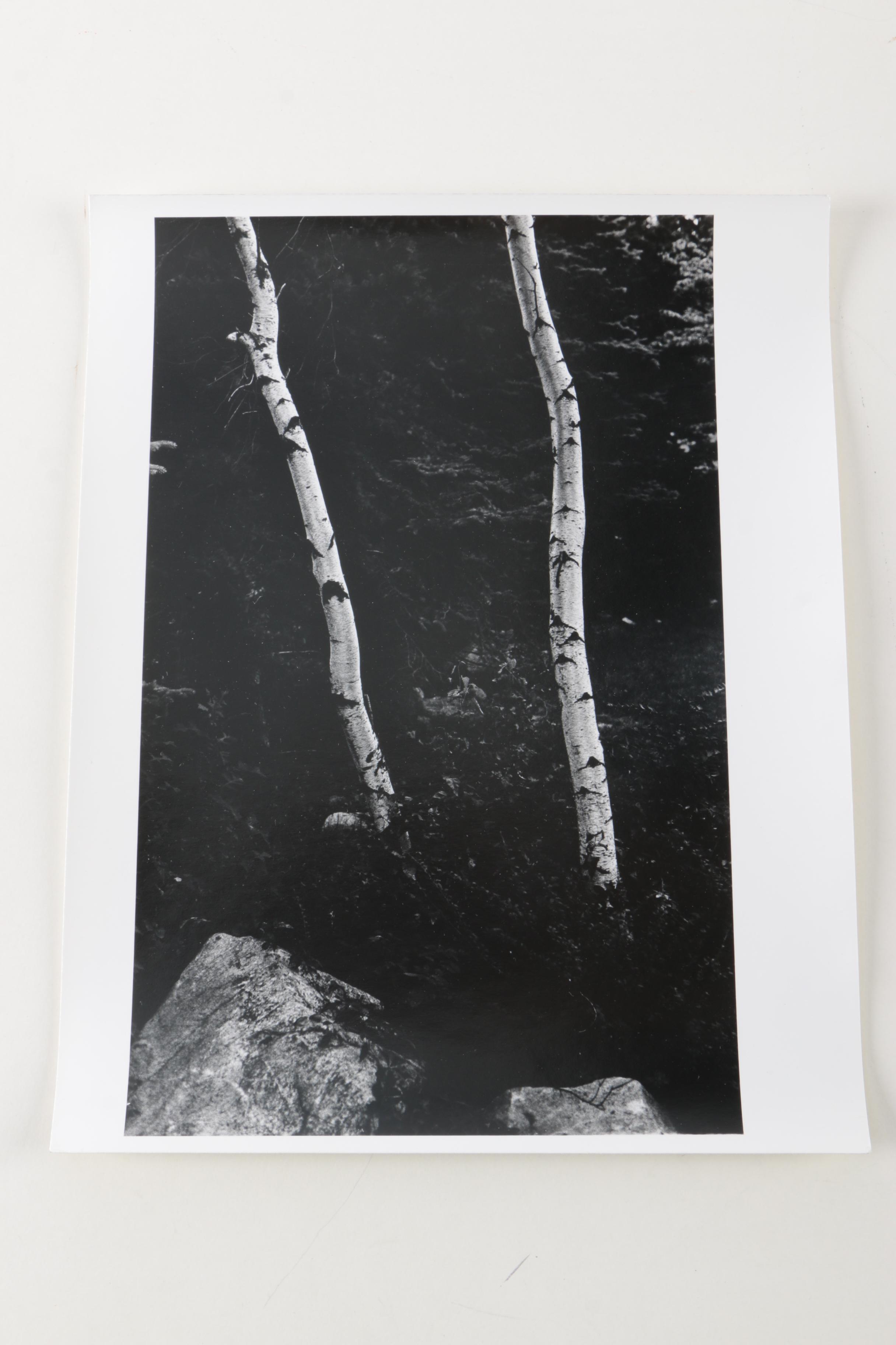 Collection of Seventeen Black and White Photographs by Jim Wenzel