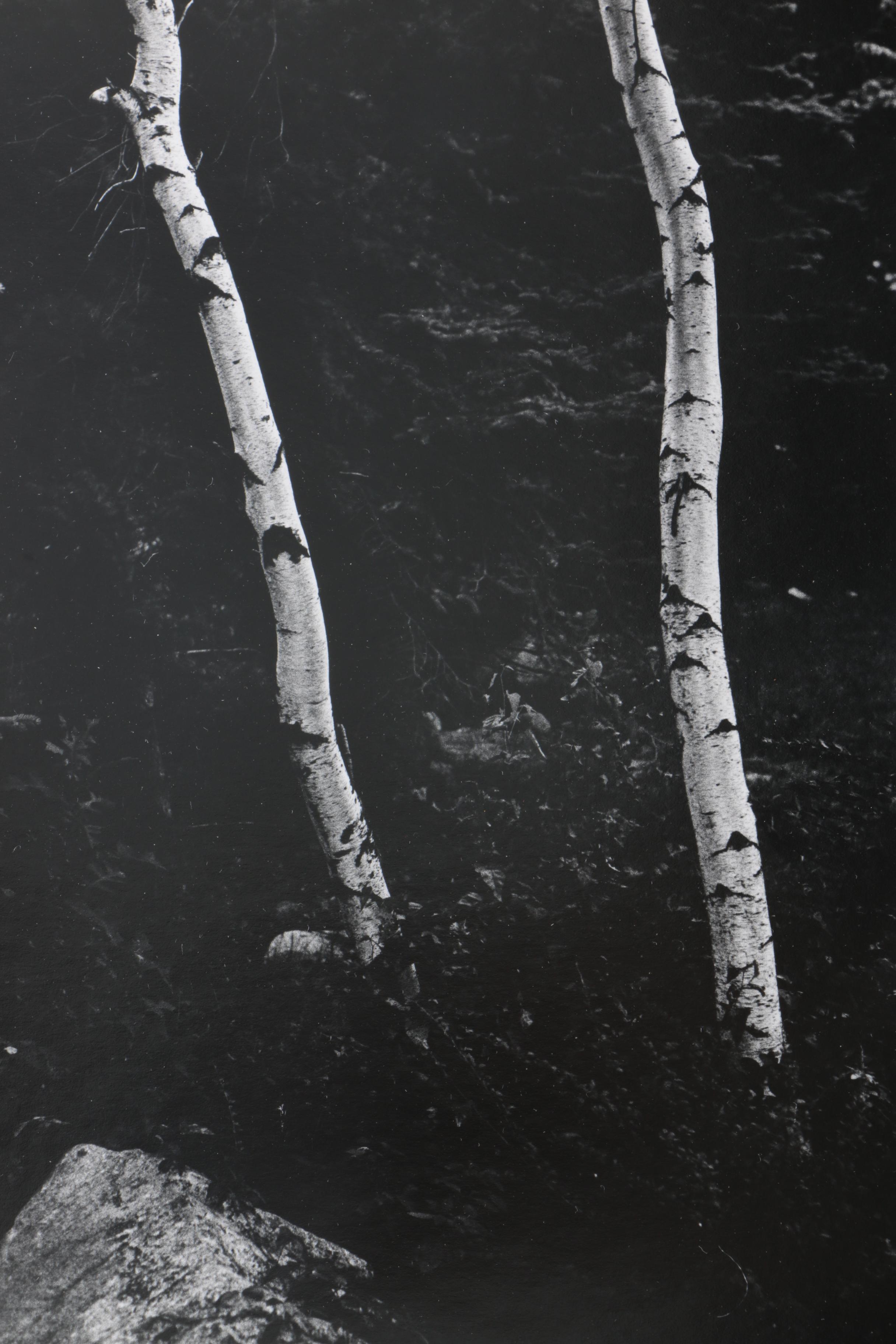 Collection of Seventeen Black and White Photographs by Jim Wenzel