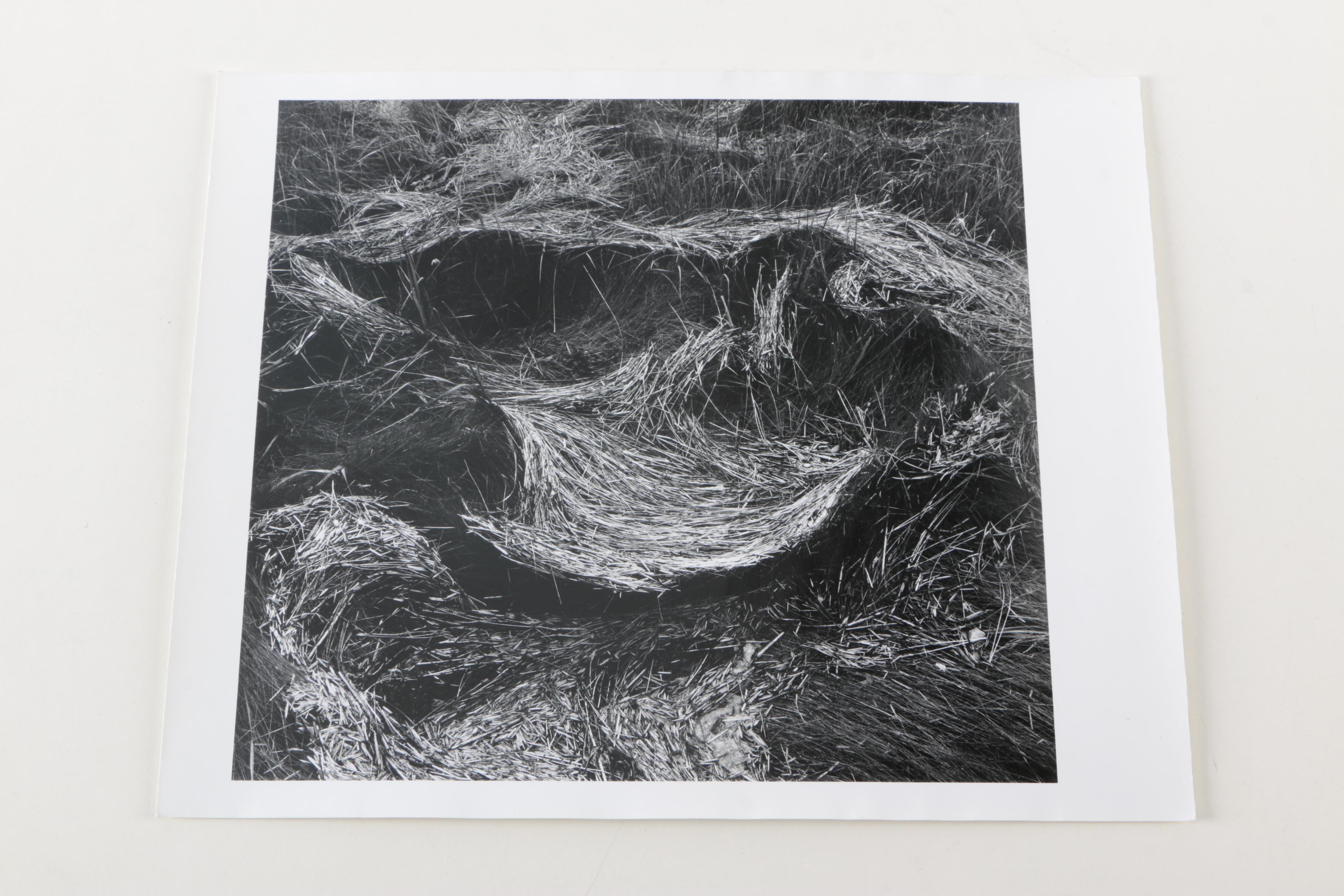 Collection of Seventeen Black and White Photographs by Jim Wenzel