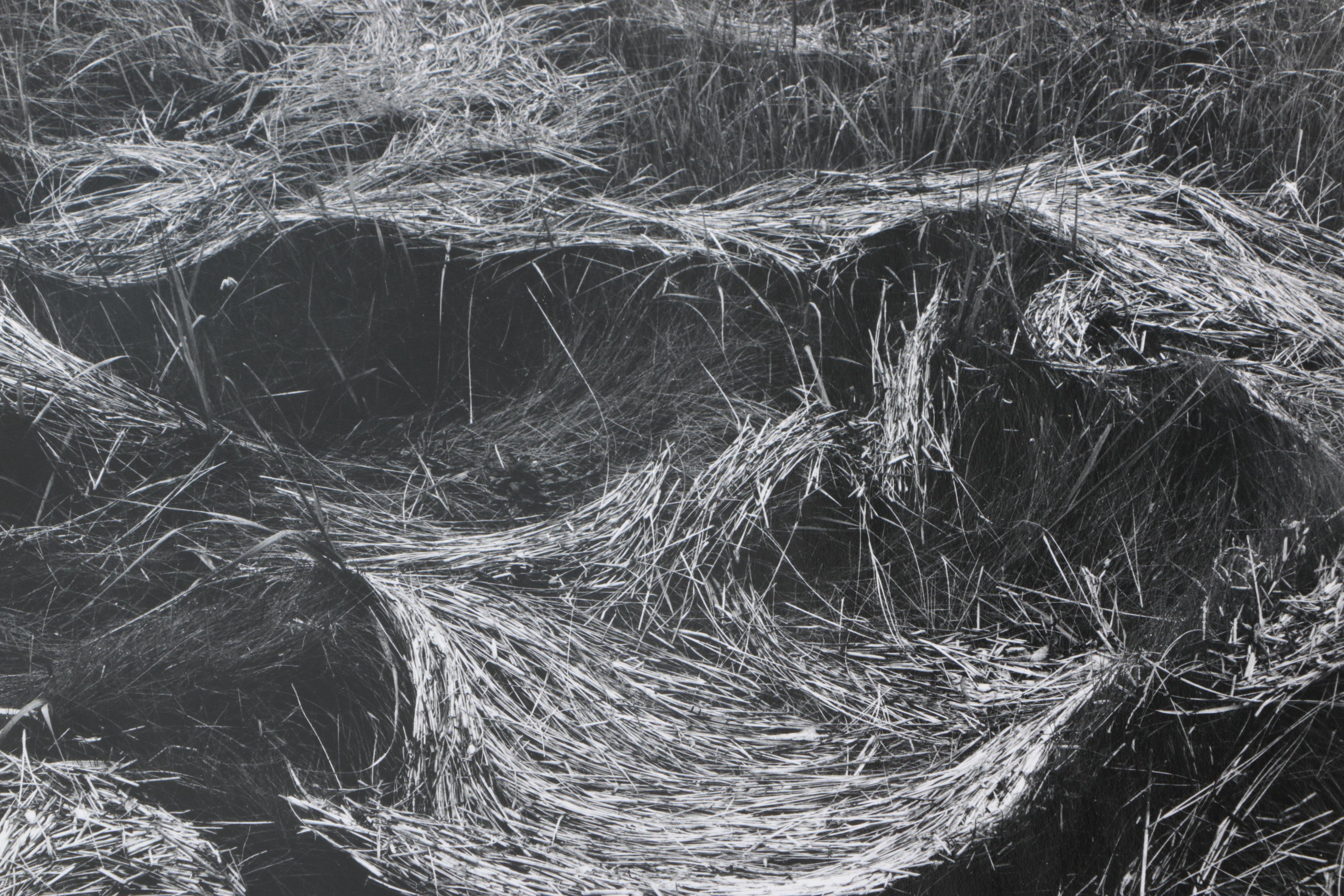 Collection of Seventeen Black and White Photographs by Jim Wenzel