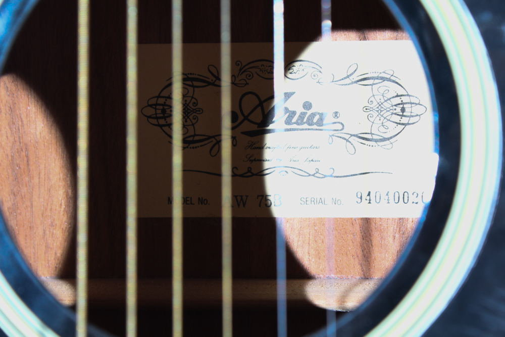 Aria Acoustic Guitar and Stands