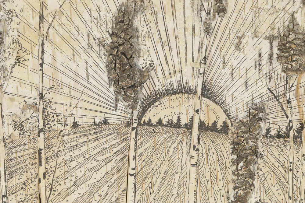 Ink Drawing on Wood Panel Landscape of Birch Trees