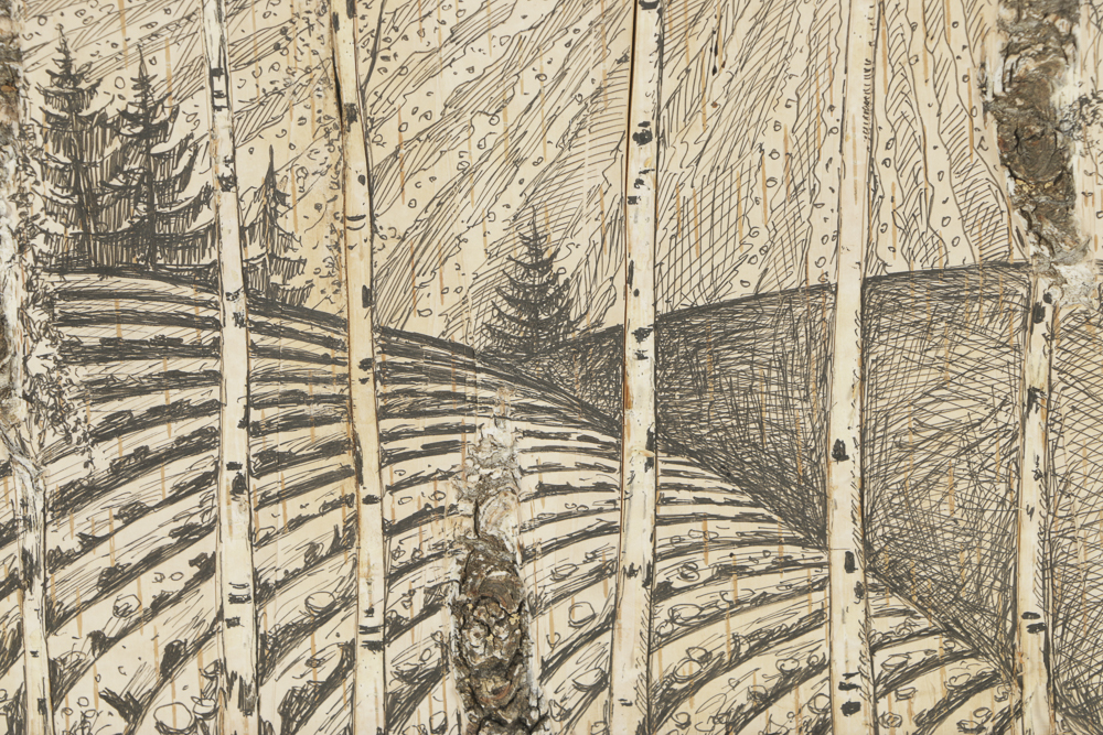 Ink Drawing on Wood Panel Landscape of Birch Trees