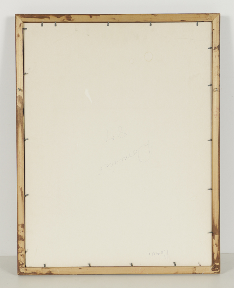 Domenici Digital Photograph on Paper "Rio Grande River"