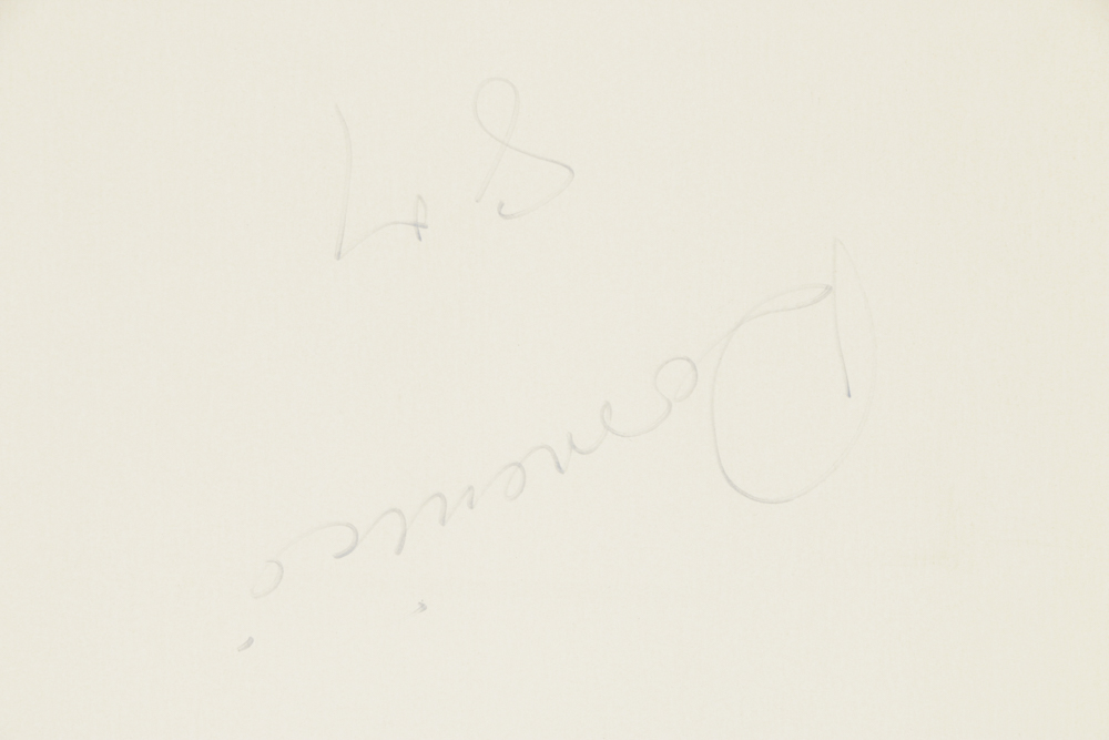 Domenici Digital Photograph on Paper "Rio Grande River"