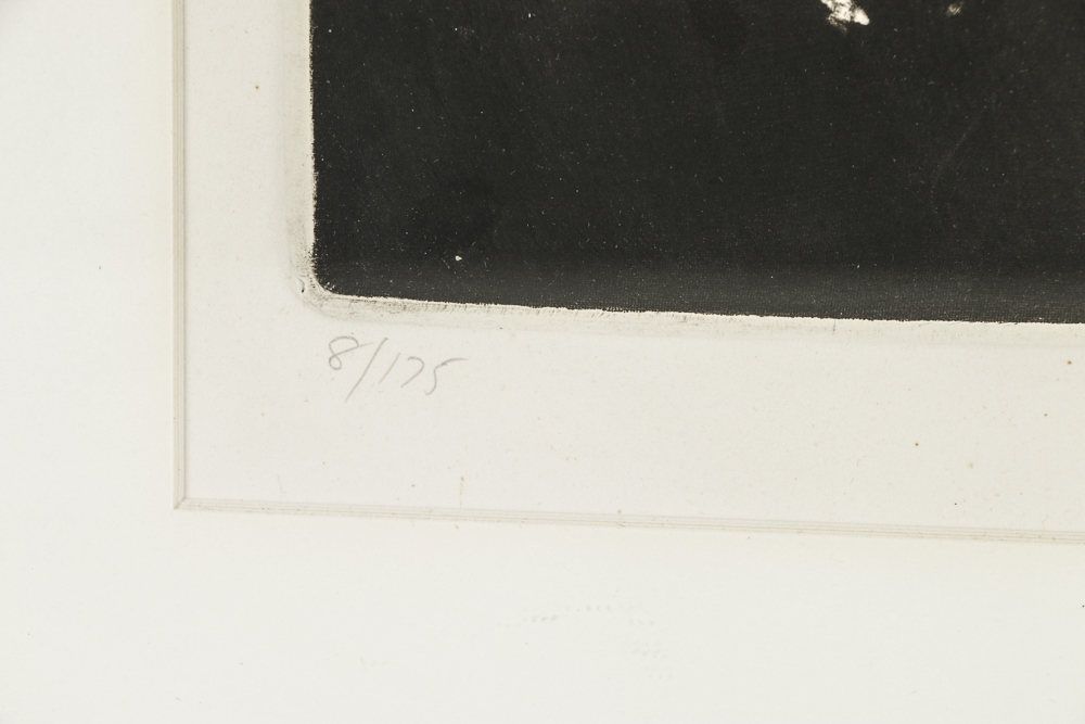 Janet Compere Limited Edition Serigraph on Paper "Anemones"