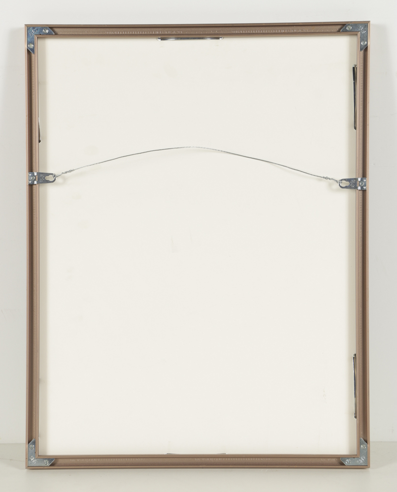 Offset Lithograph Exhibition Poster After Arthur Tress "Fantastic Voyage"