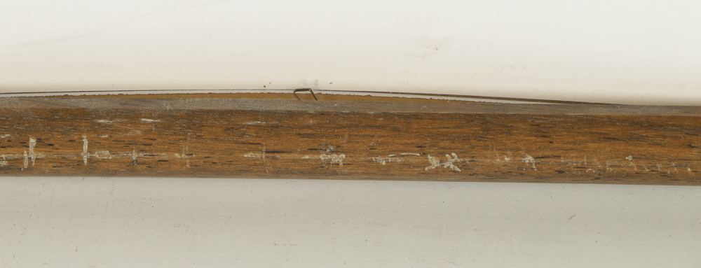 Carol Wald Limited Edition Lithograph on Paper "Sentinel of the Plains"