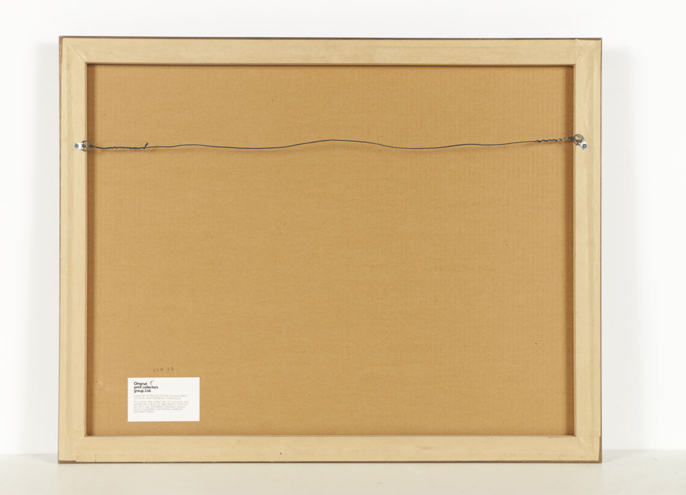 Dennis Paul Noyer Limited Edition Lithograph on Paper "La Maison Rose"