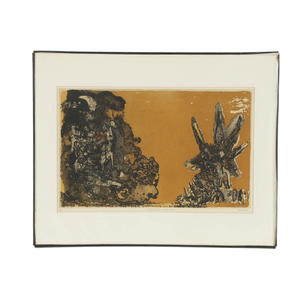 John Ihle Limited Edition Color Etching "Sunlit Sea with Plankton"