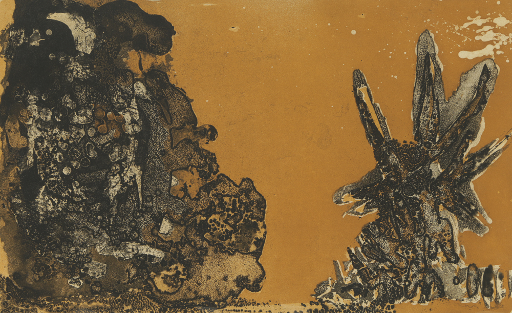 John Ihle Limited Edition Color Etching "Sunlit Sea with Plankton"