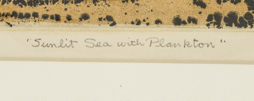 John Ihle Limited Edition Color Etching "Sunlit Sea with Plankton"
