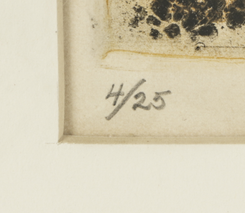 John Ihle Limited Edition Color Etching "Sunlit Sea with Plankton"