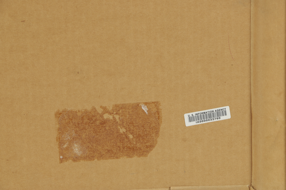 Elton Bennett Serigraph on Paper "Rain on the River"