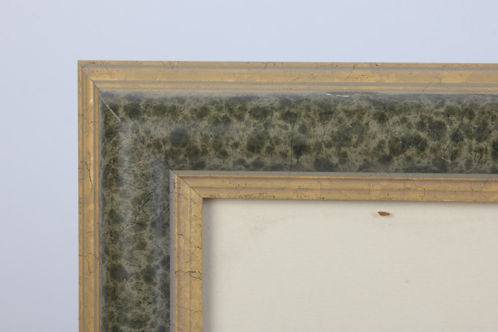 Giclée After Edward Joseph Lowe "Dicksonia Davallioides. - Pinna."