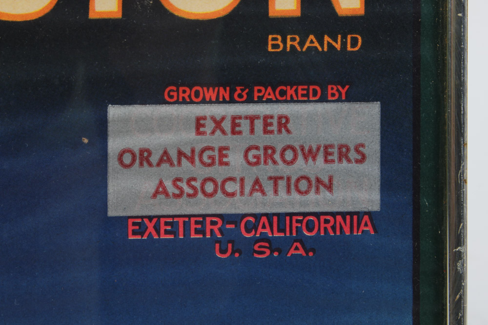 Framed Washington Brand Exeter Orange Growers Association Crate Label