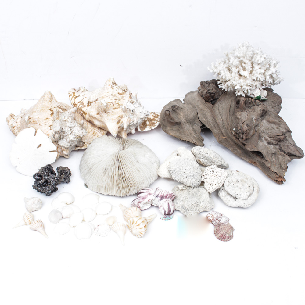 Sea Specimen Selection