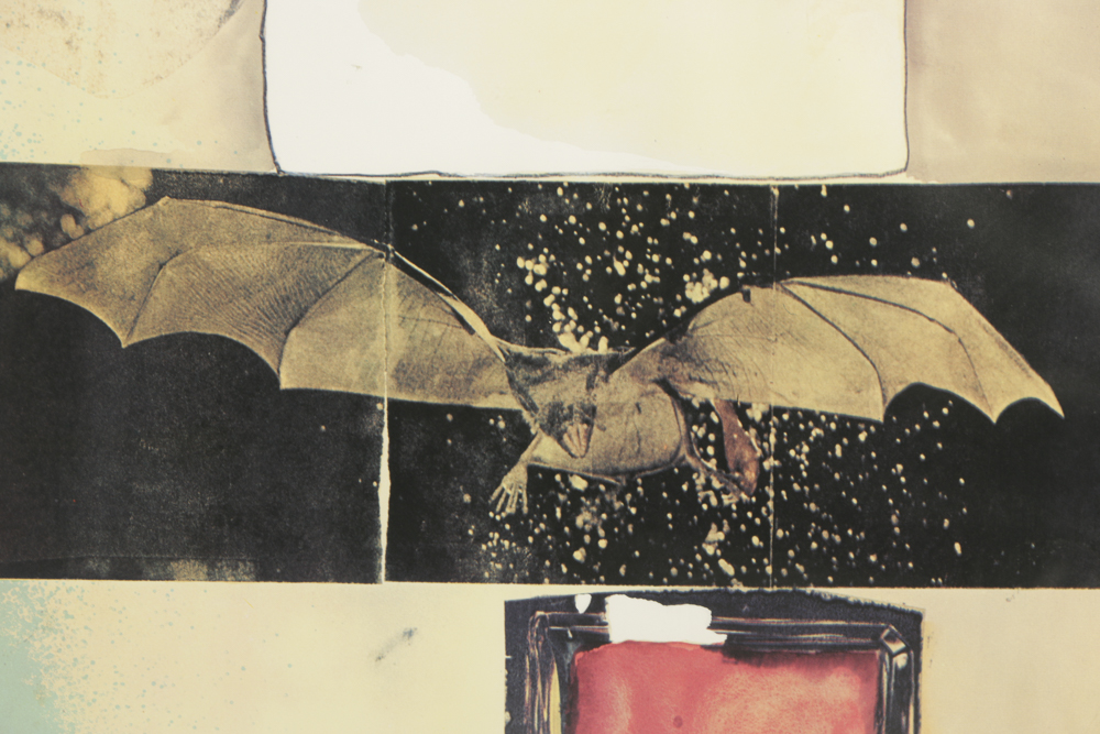 Robert Rauschenberg Limited Edition Offset Lithograph on Paper