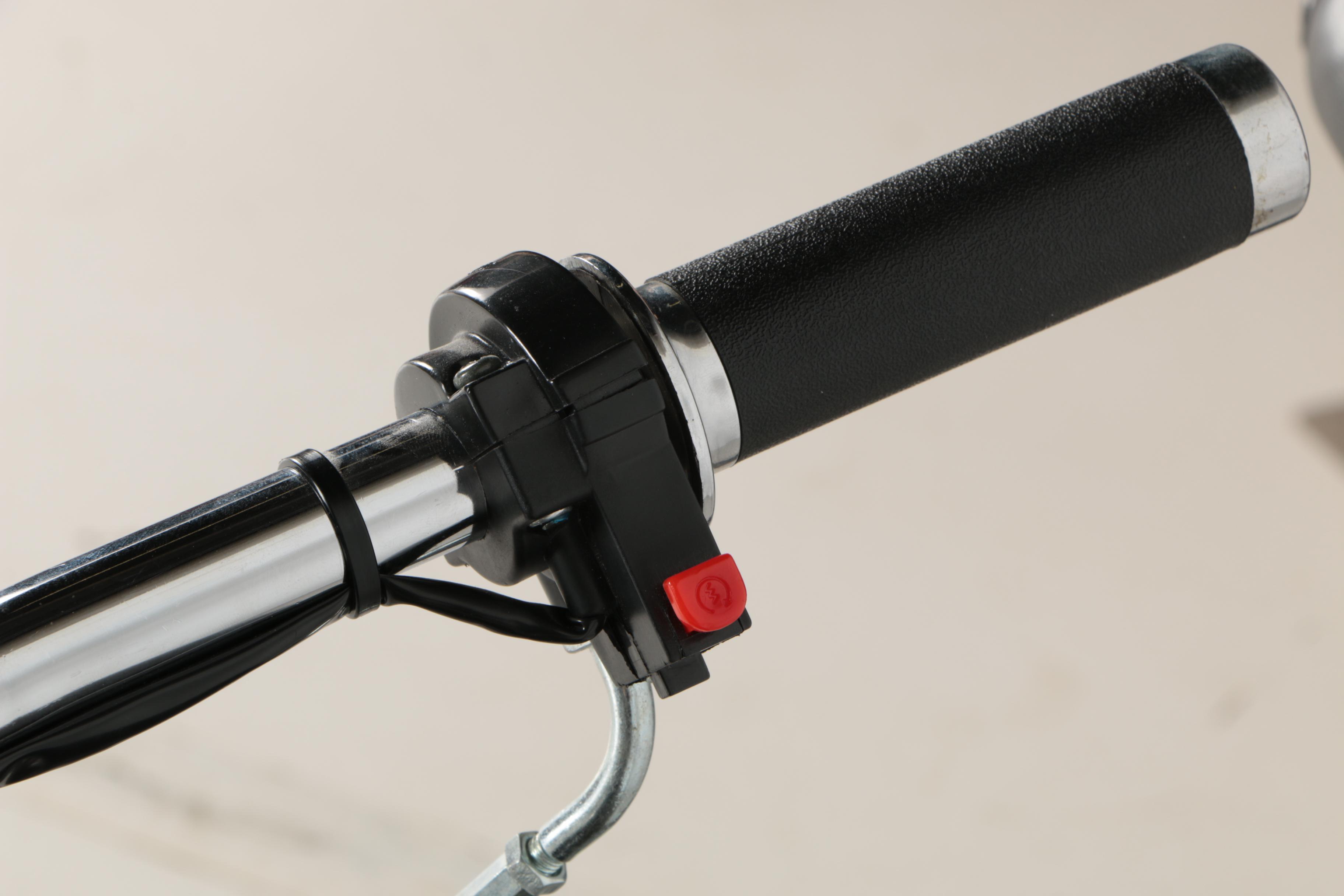 Vintage Schwinn Black Phantom Motorized Bicycle