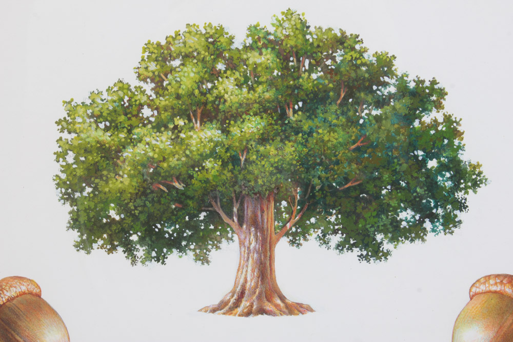 Mixed Media Study for the Tower Oaks Lodge Logo