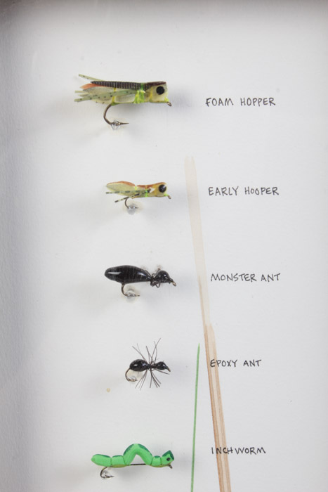 Jay Fullum Watercolor on Paper with Handmade Terrestrials