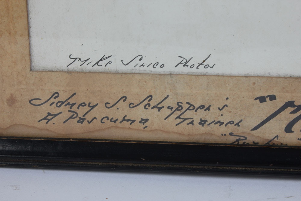 Collection of Three Black and White Photographs of Horse Racing