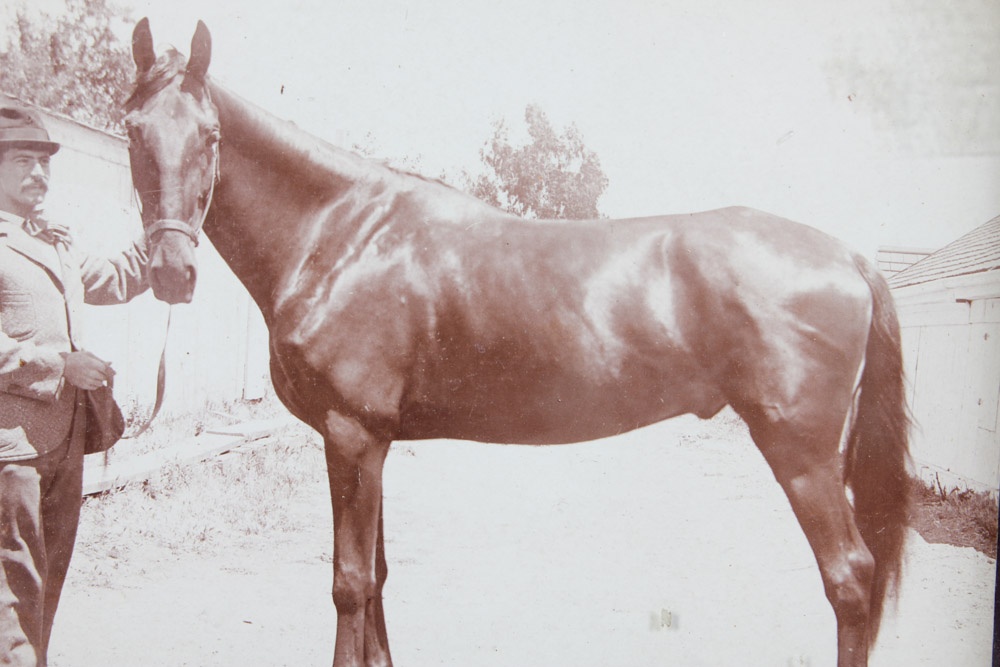 Collection of Three Black and White Photographs of Horse Racing