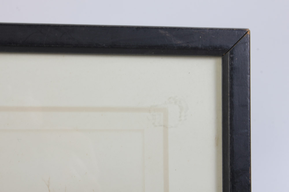 Grouping of Vintage Rowing Photographs