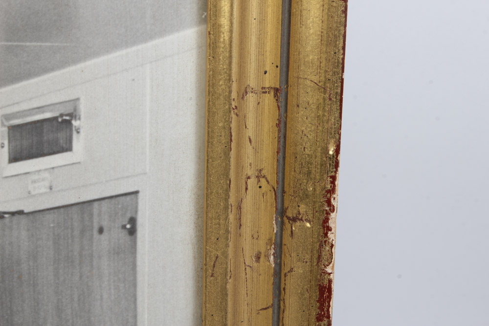 Collection of Vintage and Antique Photographs