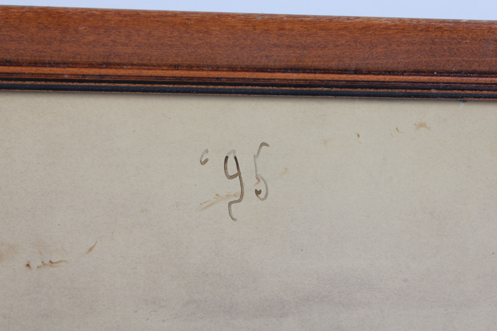 Collection of Vintage and Antique Photographs