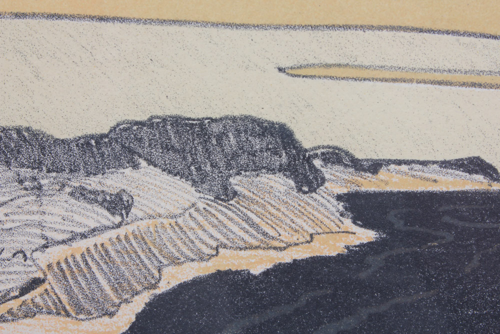 Hand Colored Lithograph of Birds Over Water